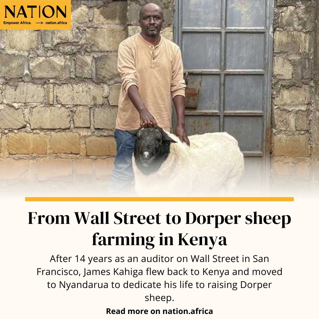 Daily Nation tweet media