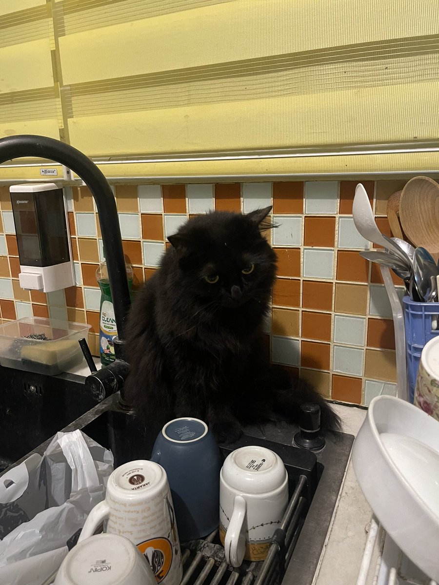 Gjls ni strusmi nangkring di wastafel