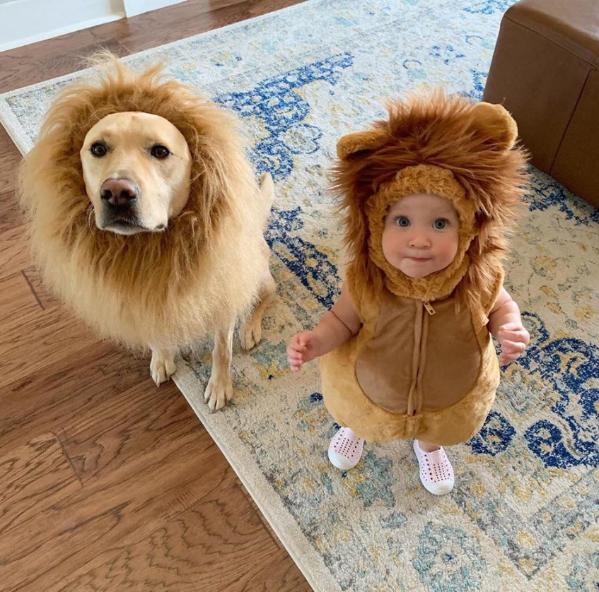 The cutest lions I have ever seen 🦁😍