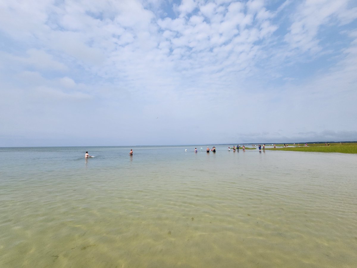 Treeboy2022's tweet image. Cape Cod- 바다여행