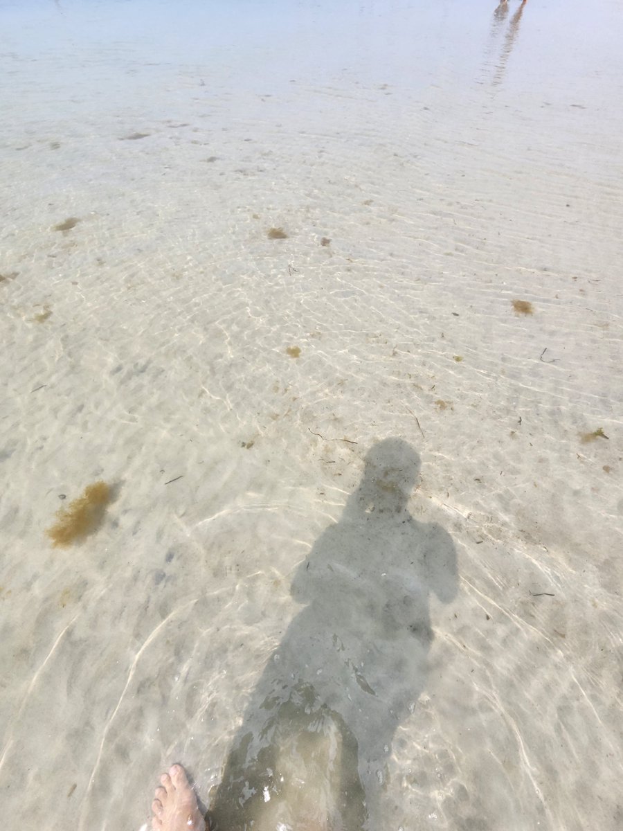 Treeboy2022's tweet image. Cape Cod- 바다여행