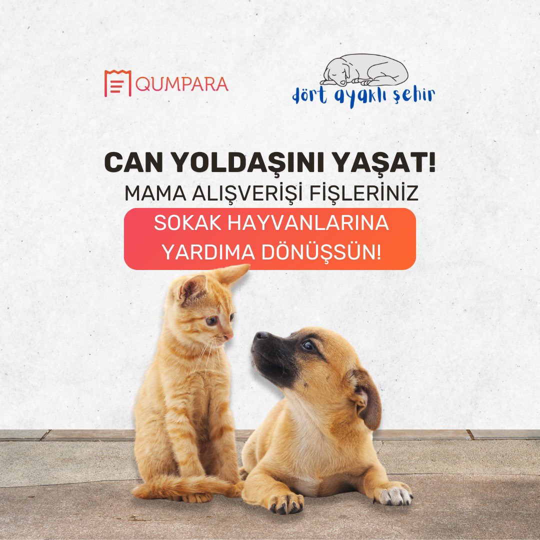 Eylül ayında siz evdeki dostunuz için alışveriş yaptıkça, biz sizin adınıza Dört Ayaklı Şehir'in Can Yoldaşını Yaşat kampanyasına bağış yapıyoruz.

Yaşamak bizler gibi onların da hakkı!

#FislerQumparayaMamalarHayvanlara 🐶🐱