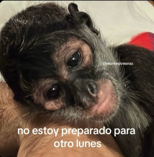 Carlos Sanchez (@carlossanch0) on Twitter photo 