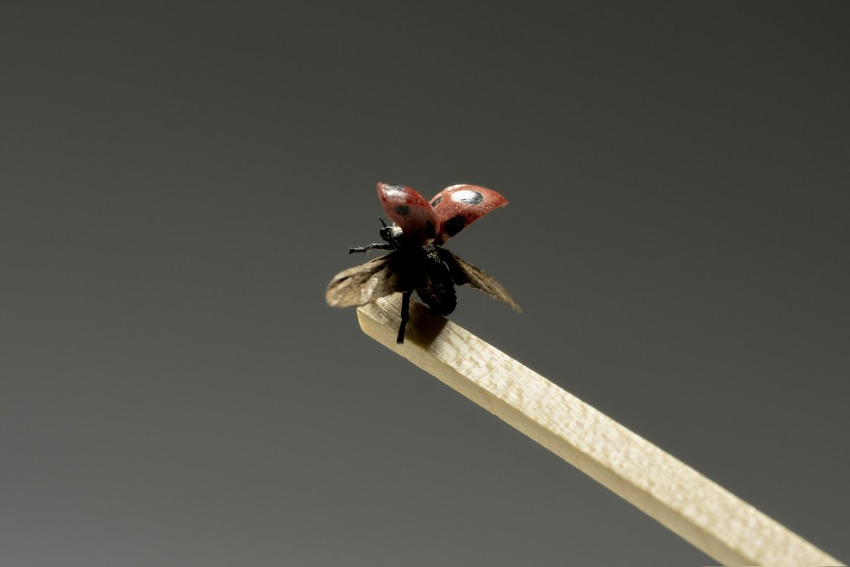 #私の個性はきっと誰かにささる

木による、工芸と彫刻。

#立体木象嵌