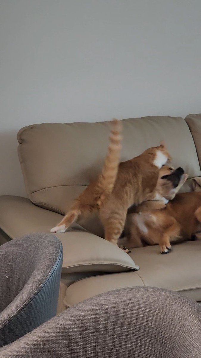 엄마가 볼때                            엄마가 안볼때