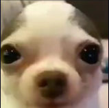 Gajuelbtw's tweet photo. @SadafMich https://t.co/xIrR9n3OEO