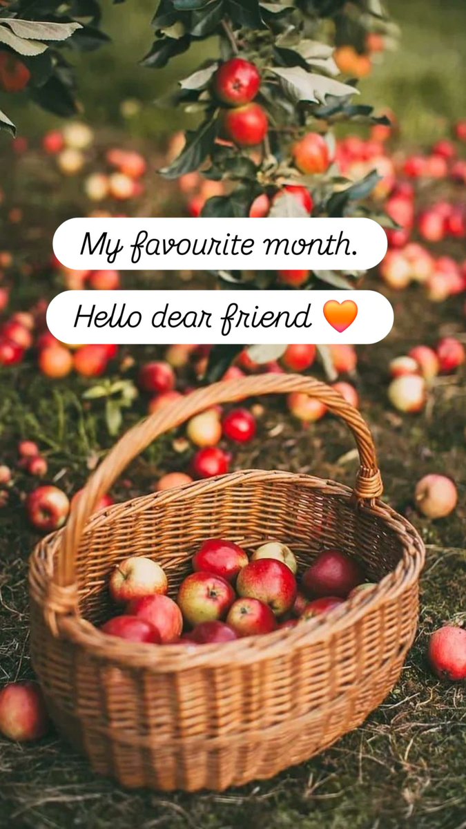 Good morning #Autumn