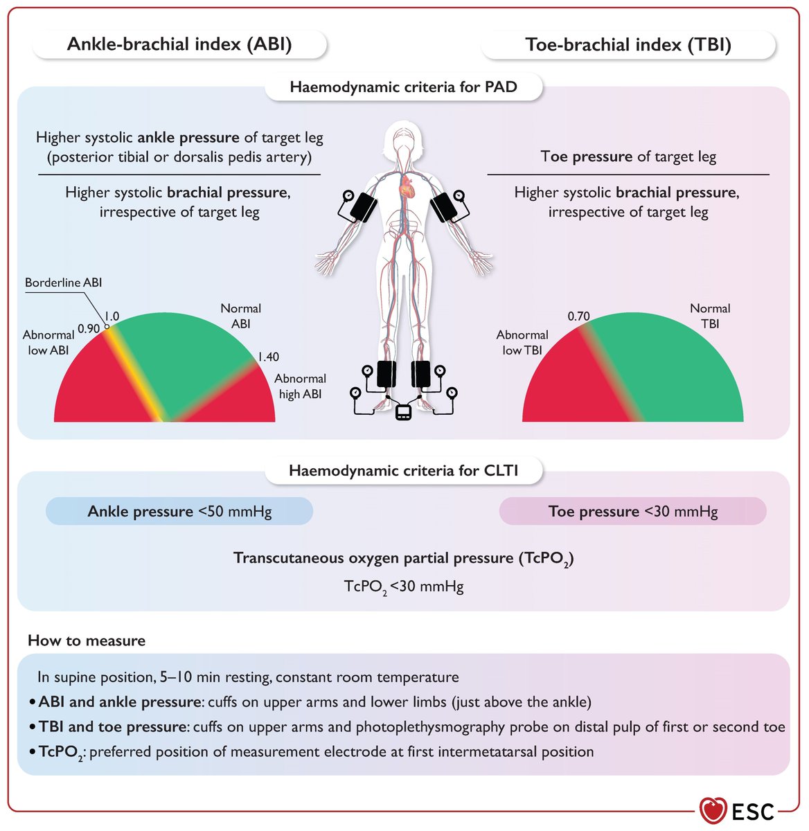 RECOS ESC 2024 : artères périphériques et aorte (1)  medvasc.info/archives-blog/… <a href="/CTrivalle/">Christophe Trivalle</a> <a href="/DrGomi/">Le Flohic</a> <a href="/Fraslin/">Dr Jean-Jacques Fraslin</a> <a href="/JasmineNephro/">Jasmine Sethi</a> <a href="/KardiologieHH/">Erik Rafflenbeul</a> <a href="/PlanquetteSante/">Planquette</a> <a href="/Segodebruyne/">Ségolène Debruyne</a> <a href="/berangerKM/">Béranger Med vasc</a> <a href="/Hragy/">Hany Ragy</a> <a href="/Williambaraka11/">William baraka</a> <a href="/CatherineTerni1/">Catherine Ternisien</a> <a href="/macecc22/">Courtois</a> <a href="/ClubVasculaire/">Club des Jeunes Médecins Vasculaires</a> <a href="/fikkumamoto/">Italo Kumamoto</a> <a href="/Maperez324/">Miguel Angel Perez Alvarez</a> <a href="/FZores/">Florian Zores</a>