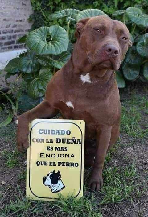 Uriel (@uriel66689314) on Twitter photo Feliz Lunes! <a href="/nydiacervera/">Nydia Cervera</a> <a href="/Marilu86053/">Marilú 💕🐘🐘🐘💕 🇲🇽</a> <a href="/addy_pink/">Pinky</a> <a href="/Becky_P7/">Becky</a> <a href="/antymob/">Miss Anty Mobarak</a> <a href="/mtz_tt/">B€TT¥ ツ</a> <a href="/DaliaMRocha/">Yaya Rocha</a> <a href="/EYACAR65/">EYA</a> <a href="/EsEstra/">A L I 🐾</a> <a href="/lasaguis/">lasg</a> <a href="/LETICIA777/">LETICIA TORRES</a> <a href="/Negra_start/">Ⓝⓔⓖⓡⓐ</a> @JohannaLizalde <a href="/rumabo1/">Pata perruna 🐾🐾</a> <a href="/MARLENE_STAHL/">MARLENE 🦋</a> <a href="/Hera_Sea/">★ FRECDA, CAPÍTULO SAN LUIS POTOSÍ</a> <a href="/Vivalyk/">♓⭐🍒 Bárbariux 🍒⭐❤&💫</a> <a href="/akyoshi09/">Fabiola</a> <a href="/hidra881/">Teresa Velazquez Rodriguez</a> <a href="/duky1107/">Claudia</a> @PipianM <a href="/CasLaaU/">Soy Lau. 💜🍉</a> <a href="/MxActivista/">🐾ActivistaMX🌎</a> <a href="/1pantonio/">Antonio Palacios: Las mujeres no tienen pene</a> Feliz Lunes! <a href="/nydiacervera/">Nydia Cervera</a> <a href="/Marilu86053/">Marilú 💕🐘🐘🐘💕 🇲🇽</a> <a href="/addy_pink/">Pinky</a> <a href="/Becky_P7/">Becky</a> <a href="/antymob/">Miss Anty Mobarak</a> <a href="/mtz_tt/">B€TT¥ ツ</a> <a href="/DaliaMRocha/">Yaya Rocha</a> <a href="/EYACAR65/">EYA</a> <a href="/EsEstra/">A L I 🐾</a> <a href="/lasaguis/">lasg</a> <a href="/LETICIA777/">LETICIA TORRES</a> <a href="/Negra_start/">Ⓝⓔⓖⓡⓐ</a> @JohannaLizalde <a href="/rumabo1/">Pata perruna 🐾🐾</a> <a href="/MARLENE_STAHL/">MARLENE 🦋</a> <a href="/Hera_Sea/">★ FRECDA, CAPÍTULO SAN LUIS POTOSÍ</a> <a href="/Vivalyk/">♓⭐🍒 Bárbariux 🍒⭐❤&💫</a> <a href="/akyoshi09/">Fabiola</a> <a href="/hidra881/">Teresa Velazquez Rodriguez</a> <a href="/duky1107/">Claudia</a> @PipianM <a href="/CasLaaU/">Soy Lau. 💜🍉</a> <a href="/MxActivista/">🐾ActivistaMX🌎</a> <a href="/1pantonio/">Antonio Palacios: Las mujeres no tienen pene</a>