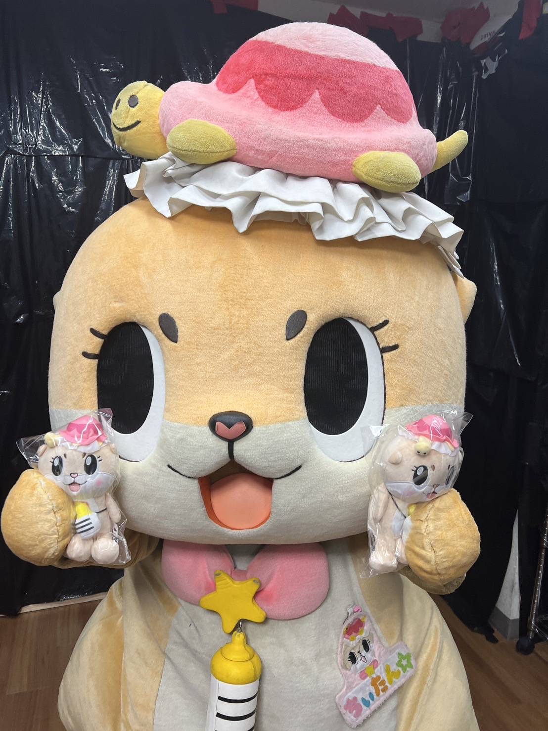カメちゃん🐢 on X: 