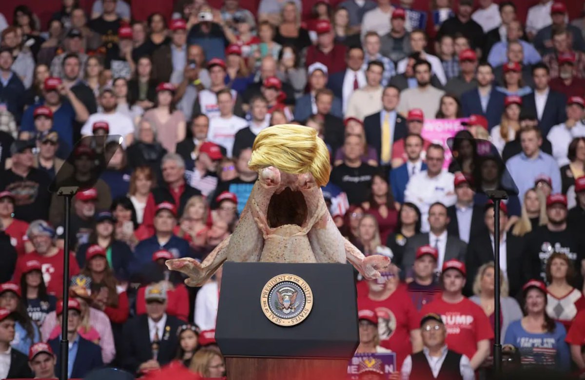 Screaming Chicken Trump tweet media