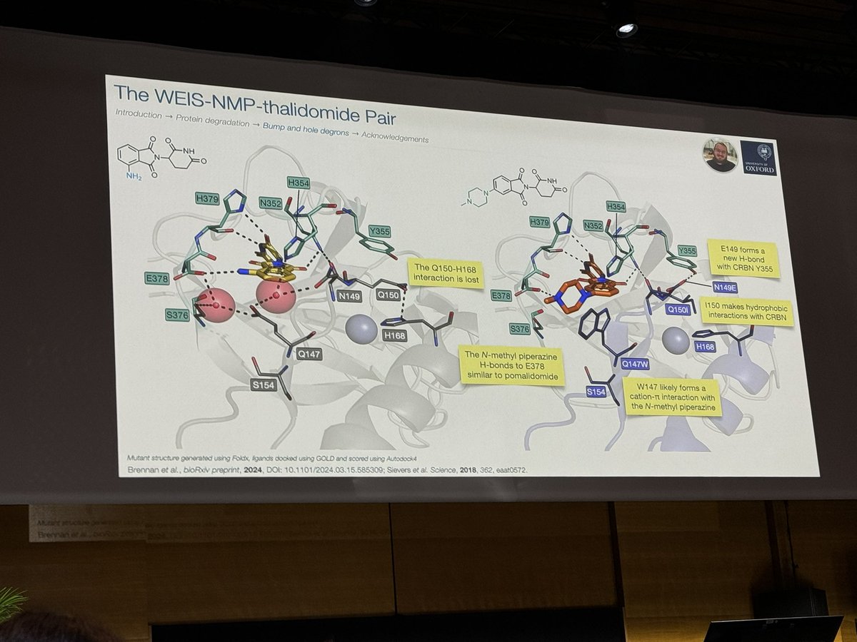 HartungIngo's tweet image. Stuart Conway @conway_group about a bump-and-hole approach based on #IMiDs and IKZF1/3. Broad potential application space in chemical biology, target validation but also as switch for therapeutic biomacromolecules such as CAR-T cells. #EFMCISMC24 @EuroMedChem