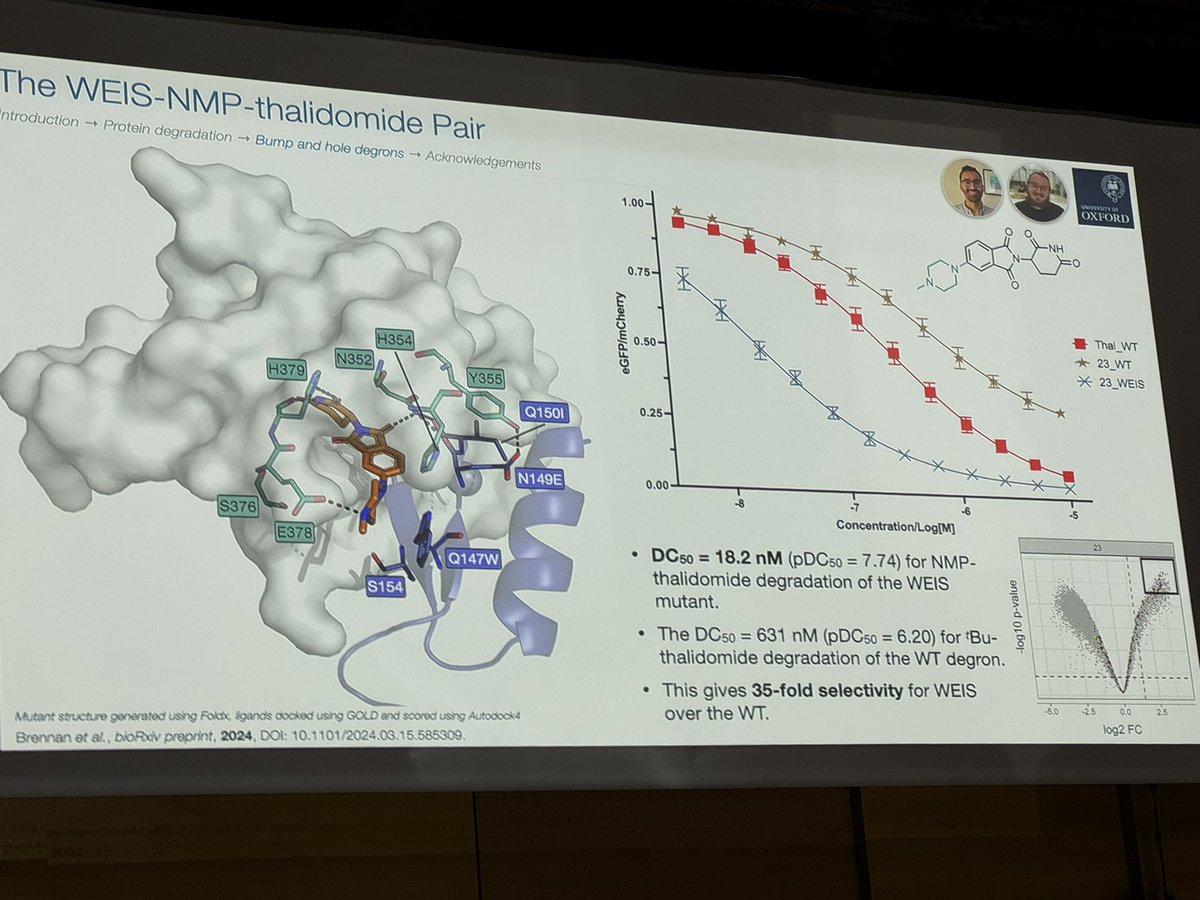 HartungIngo's tweet image. Stuart Conway @conway_group about a bump-and-hole approach based on #IMiDs and IKZF1/3. Broad potential application space in chemical biology, target validation but also as switch for therapeutic biomacromolecules such as CAR-T cells. #EFMCISMC24 @EuroMedChem