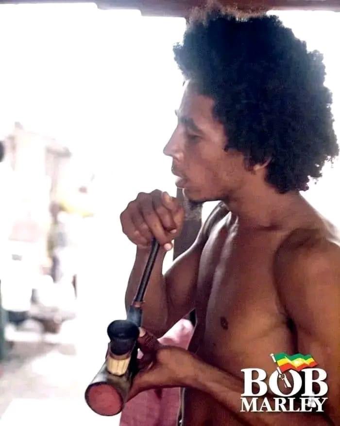 “They call me crazy because I smoke marijuana , but they call the person who invented atomic bomb a genius”- BOB MARLEY