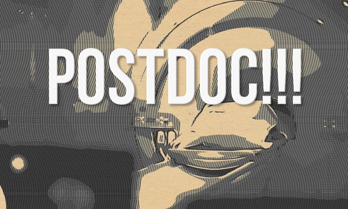 We have an available Postdoc position for 3 years to work in diffusion MRI (advanced methods). We'll launch a proper call, but if you are interested, contact me asap.