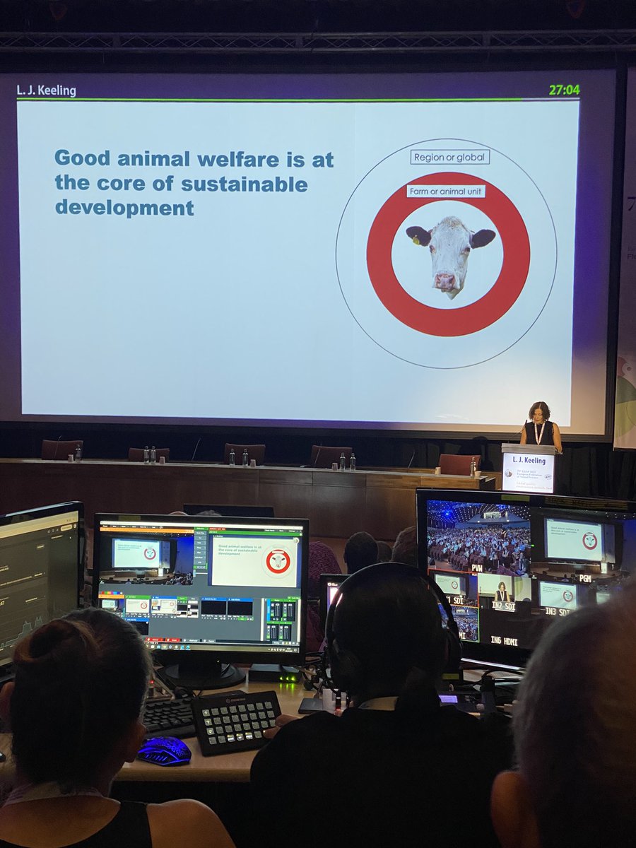 Maria Vilain Rørvang tweet media