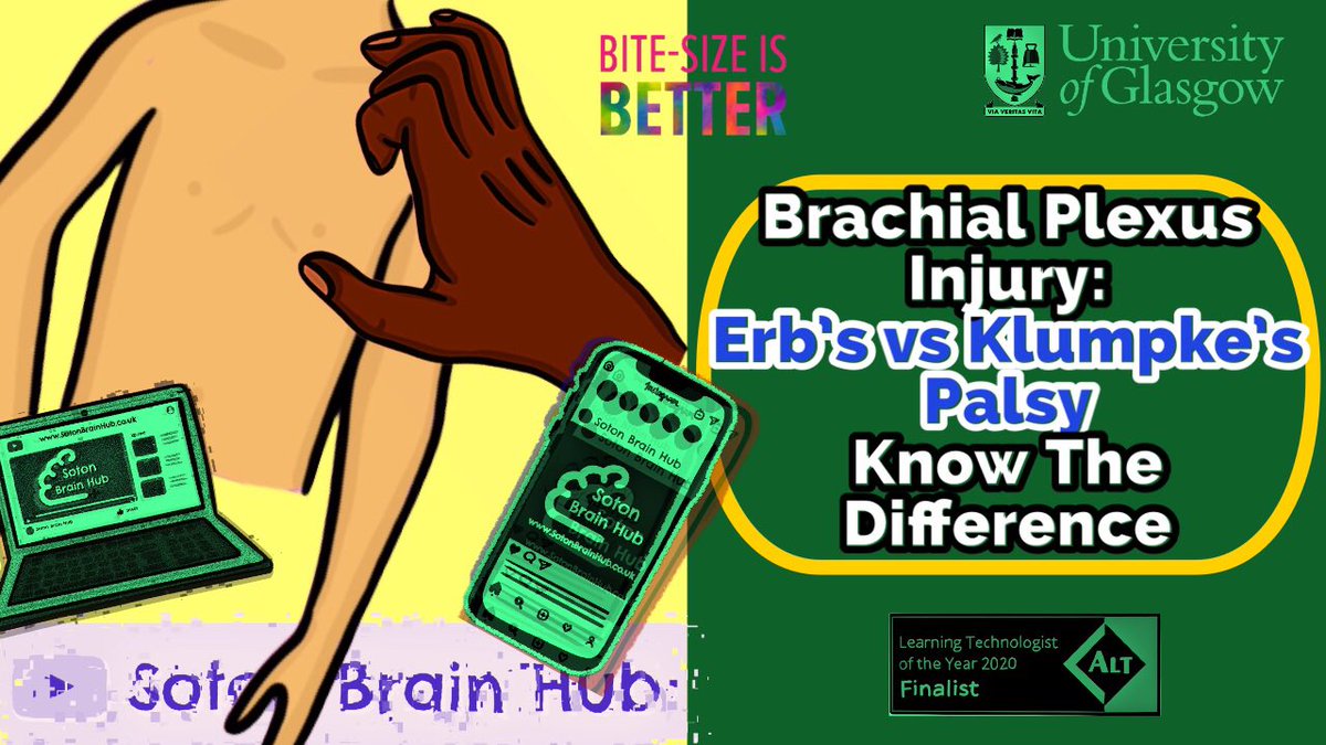 Scott Border tweet media