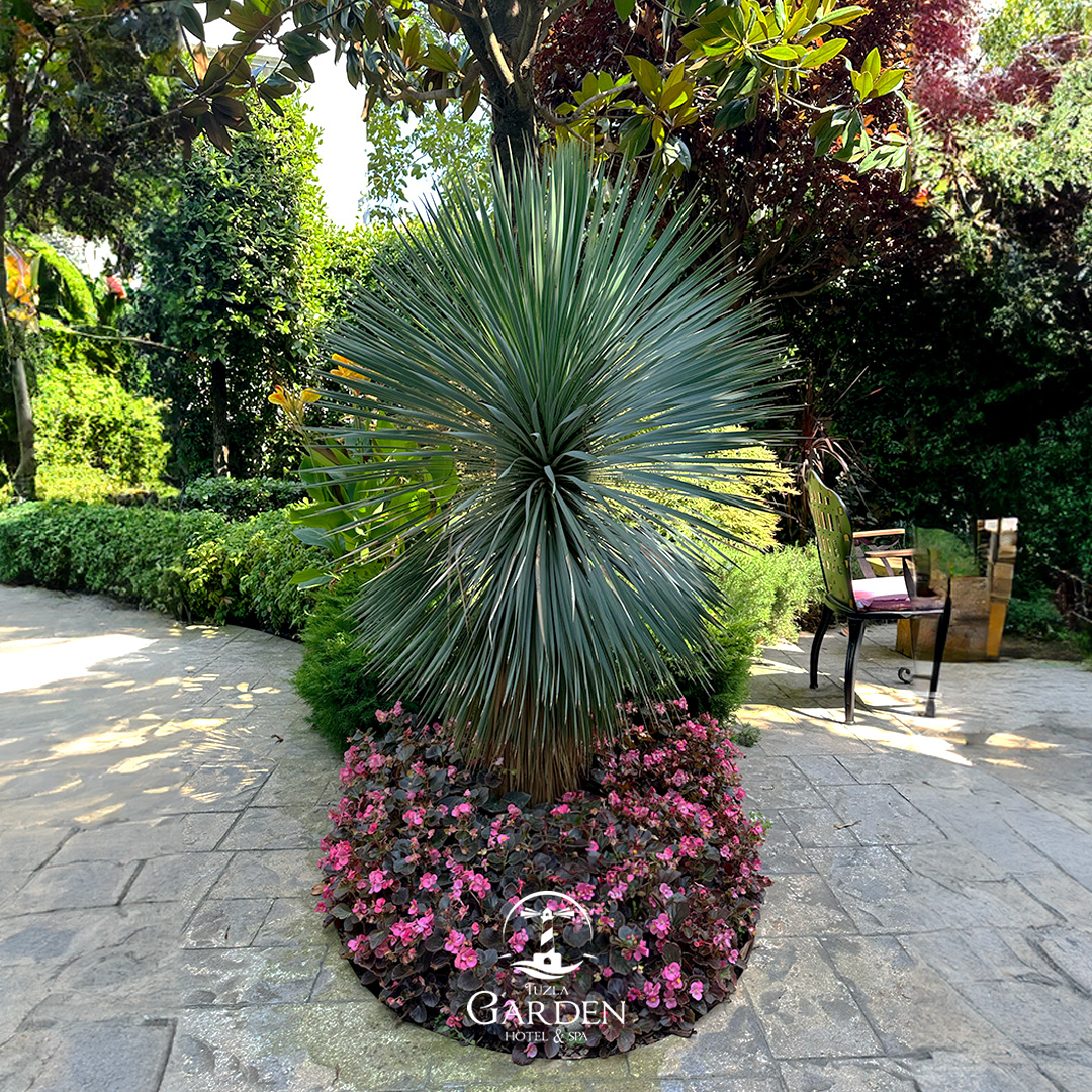 Tuzla Garden Hotel’in yeşilliklerin arasında huzuru bulacağınız, her köşesinde estetiğin izlerini taşıyan bahçesinde, keyif dolu anlar sizi bekliyor. 🌿🌸✨

Detaylı bilgi ve rezervasyon için;

📞 0 216 446 00 13 - 14
📍 Cami Mahallesi Galipağa Sokak No: 22 Tuzla - İSTANBUL