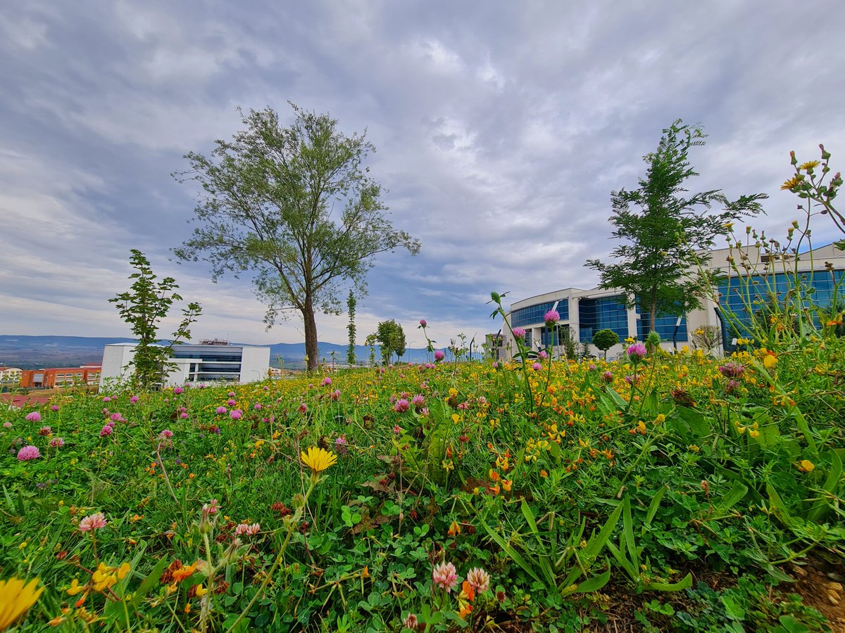 kastamonuunv's tweet photo. 🍂 Merhaba Eylül 🍁

Kampüsten herkese güzel ve mutlu bir hafta dileriz! 🌿

#KastamonuÜniversitesi https://t.co/ARfMQ84R6e