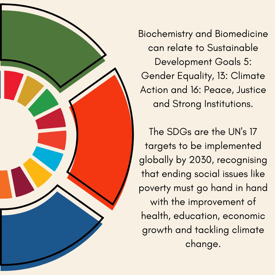 Studying Theology at CCCU? Check out how your degree relates to sustainability and how you can do better for the planet through your subject!

#sustainability #SDGs #sustainabledevelopmentgoals #cccu #canterbury #kent #climatecrisis #climateaction