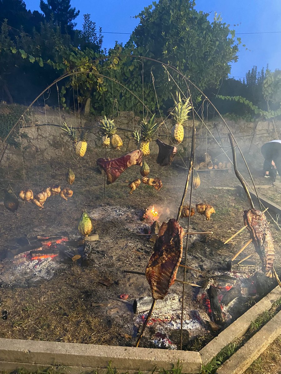 Albert Visser tweet media