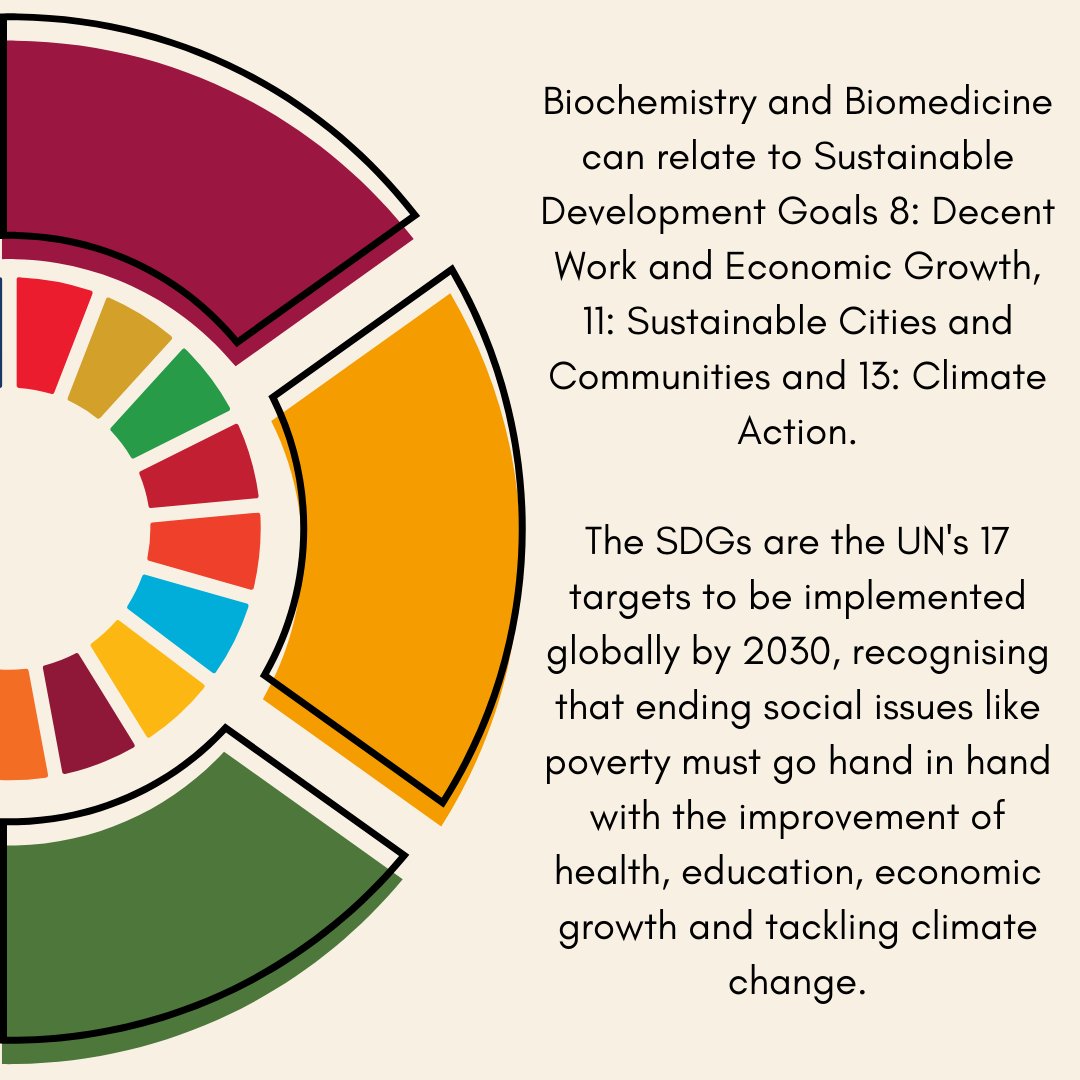 Studying Tourism, Events and Hospitality at CCCU? Check out how your degree relates to sustainability and how you can do better for the planet through your subject!

#sustainability #SDGs #sustainabledevelopmentgoals #cccu #canterbury #kent #climatecrisis #climateaction