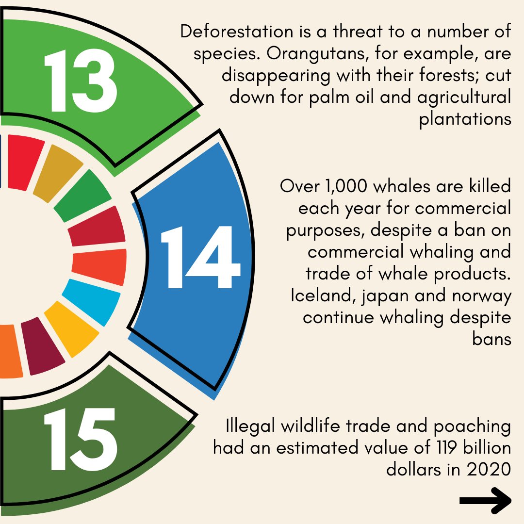 CCCU Sustainability tweet media
