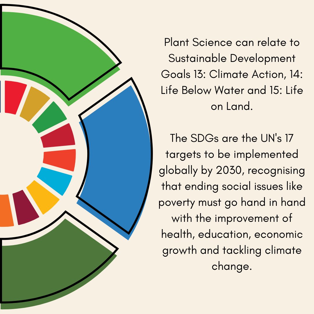 Studying Wildlife Ecology at CCCU? Check out how your degree relates to sustainability and how you can do better for the planet through your subject!

#sustainability #SDGs #sustainabledevelopmentgoals #cccu #canterbury #kent #climatecrisis #climateaction