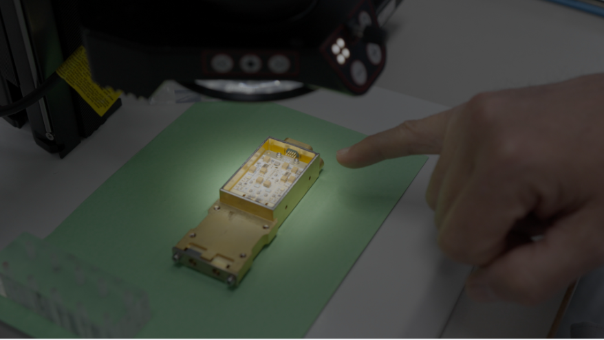 WoodSwallow tweet media