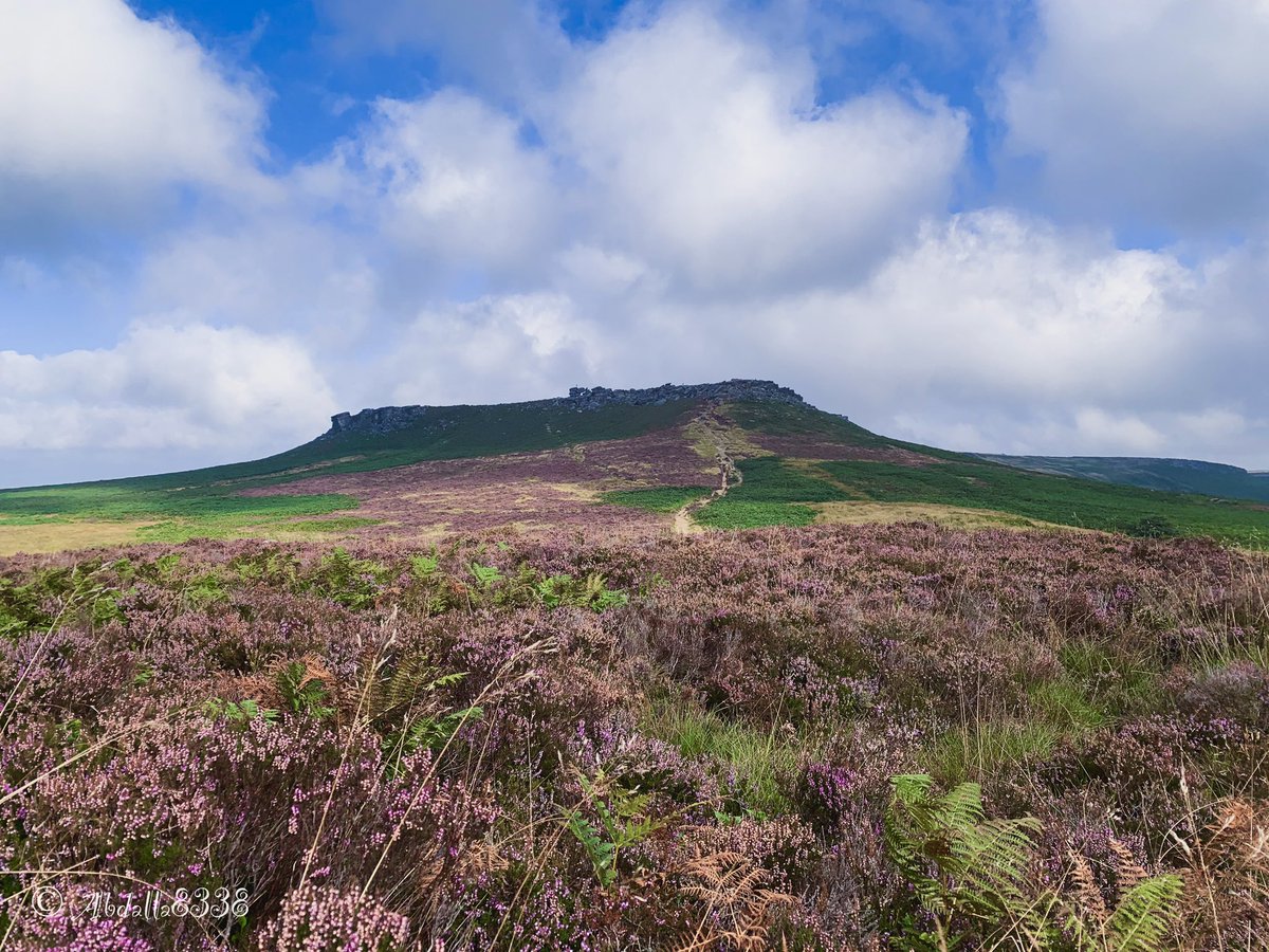 abdalla8338's tweet image. From the Iron Age hill fort of Carl Wark, looking back of Higger Tor Rocks.

The purple Heather covered moorlands are just starting to fade, but still look spectacular.

#CarlWark #IronAgeHillFort #HiggerTor #peakdistrict 
#Heather #HeatherSeason