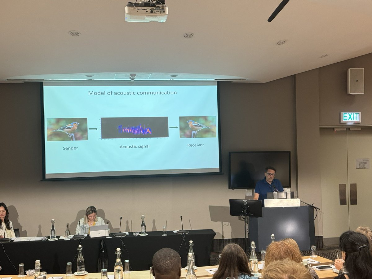 Michał Budka has talk at Africans Bioacoustics Community conference in Cape Town