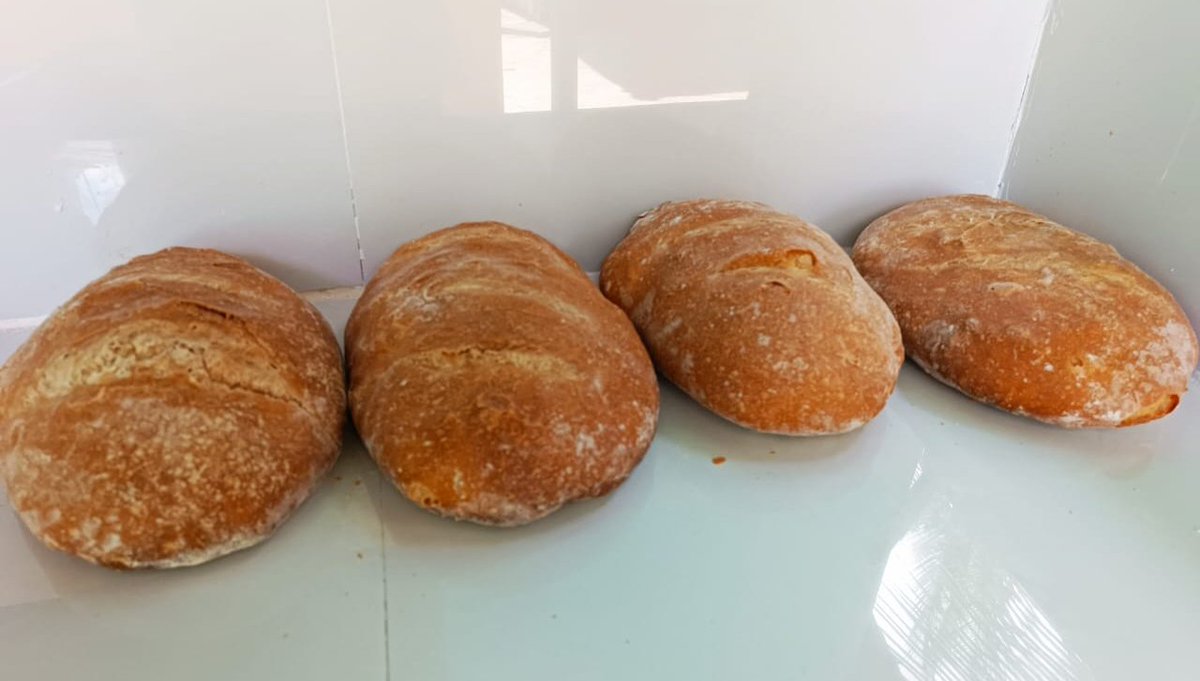 TravelSafiri's tweet photo. We are still in Malindi at @PizzeriaMyWay sampling their Italian bread as we tour Gede Ruins, Hells Kitchen, Vasco da Gama Pillar, Portuguese Chapel, Muungano Handcrafts & @BuntwaniPark .
#Linturi #Nakuru #Aviator #PresidentXiJinping #BamburiCement #SavannahCement #TembeaKenya https://t.co/WazhYrHLbY