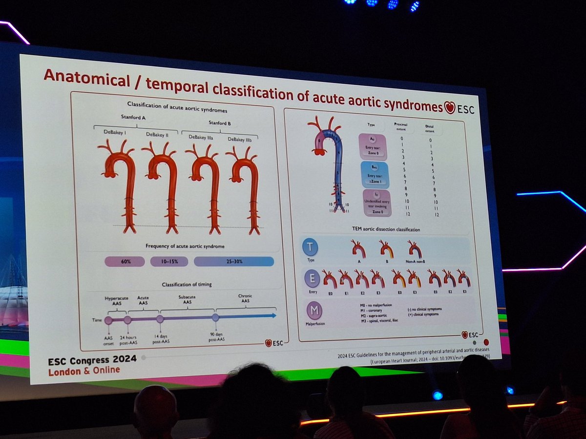 rafavidalperez tweet media