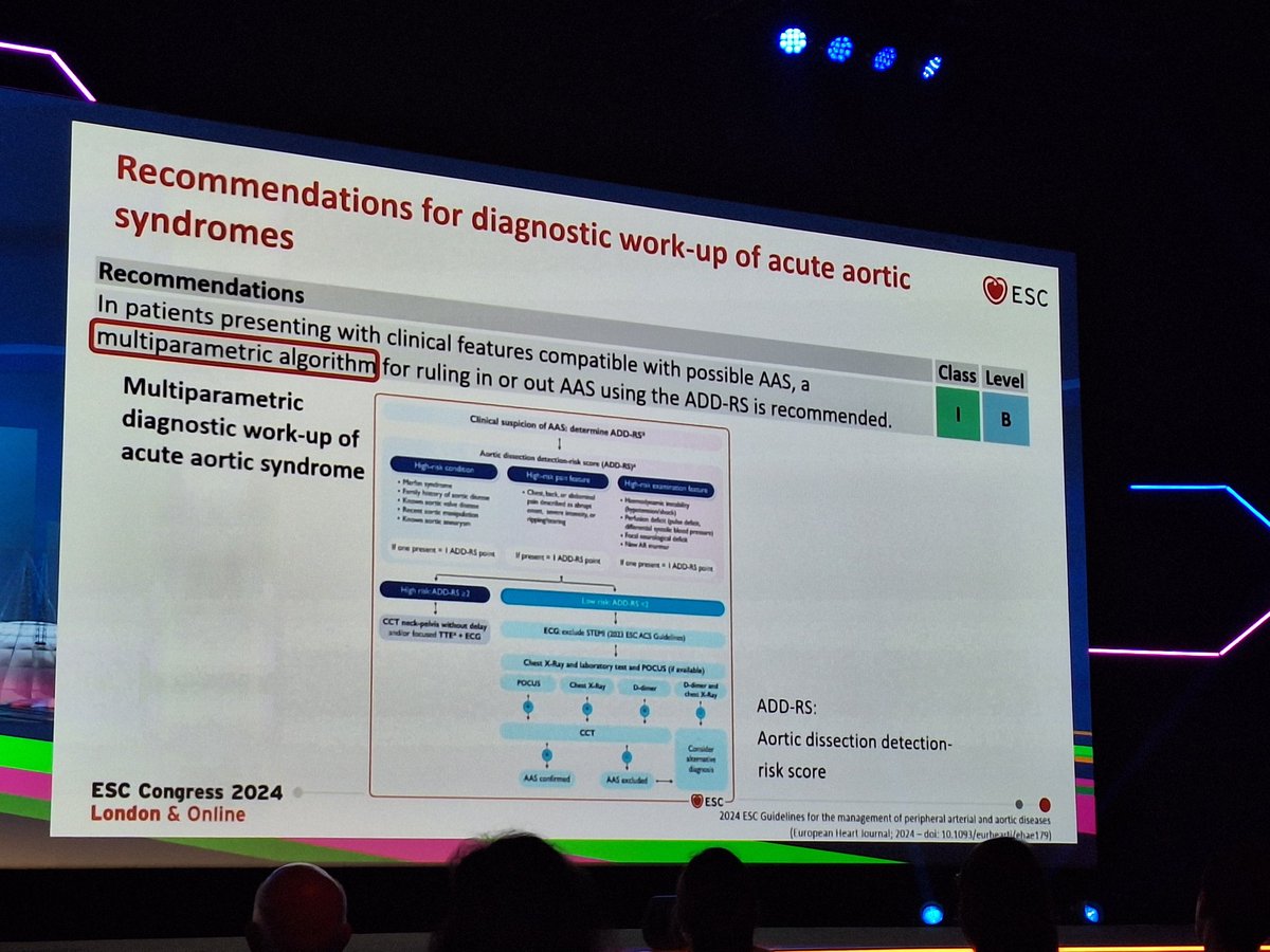 rafavidalperez tweet media