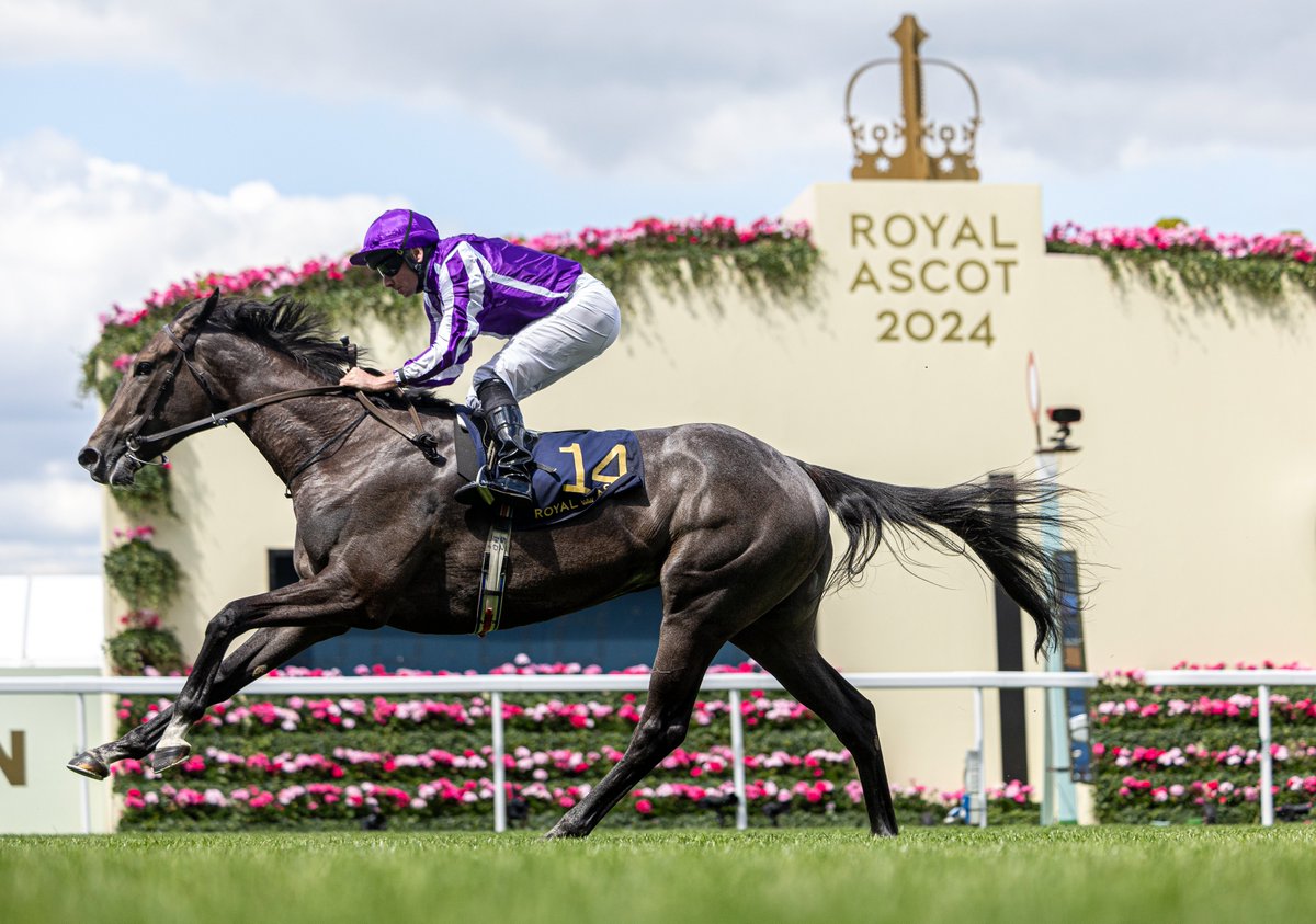 Racing Post tweet media