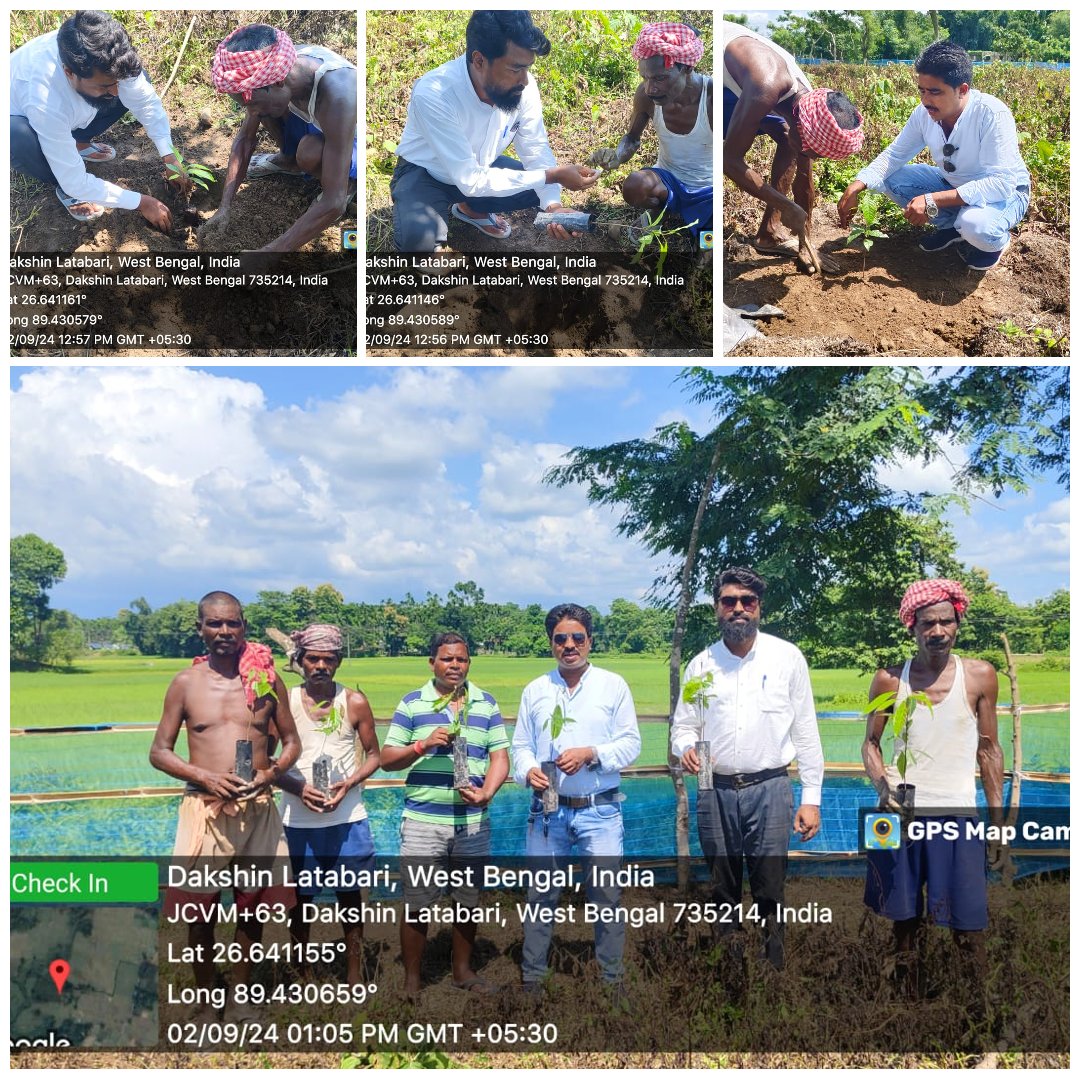 satmile's tweet photo. Plantation under #Bengal_Agroforestry_Project in Kalchini Block, Alipurduar District, West Bengal with the close support support of @AavishkaarGrp  @AavishkaarVC  @IntellecapTweet 
#SATMILE_SSCOP Working as field implementation partner in Coochbehar and Alipurduar District. https://t.co/zfSOftEHgC