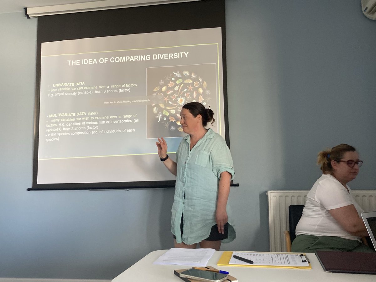 Past Global Changes tweet media