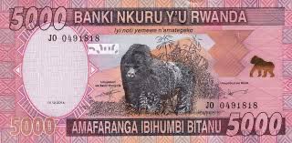 HAKUZWUMUREMYI's tweet photo. RIP 5K! Warijije abakiri bake! Uba igipimo cyโAbafundi nโIposho yiyubashye mu rugo! Kuri Station Motard wamurenzaga umunsi! Byagezeho ubatizwa #Inyama none wari ushaje utagura nโ#Ikiro! Pole kabisa๐คฃ๐ณ๐๐คฃ https://t.co/rYz6lz6YNb