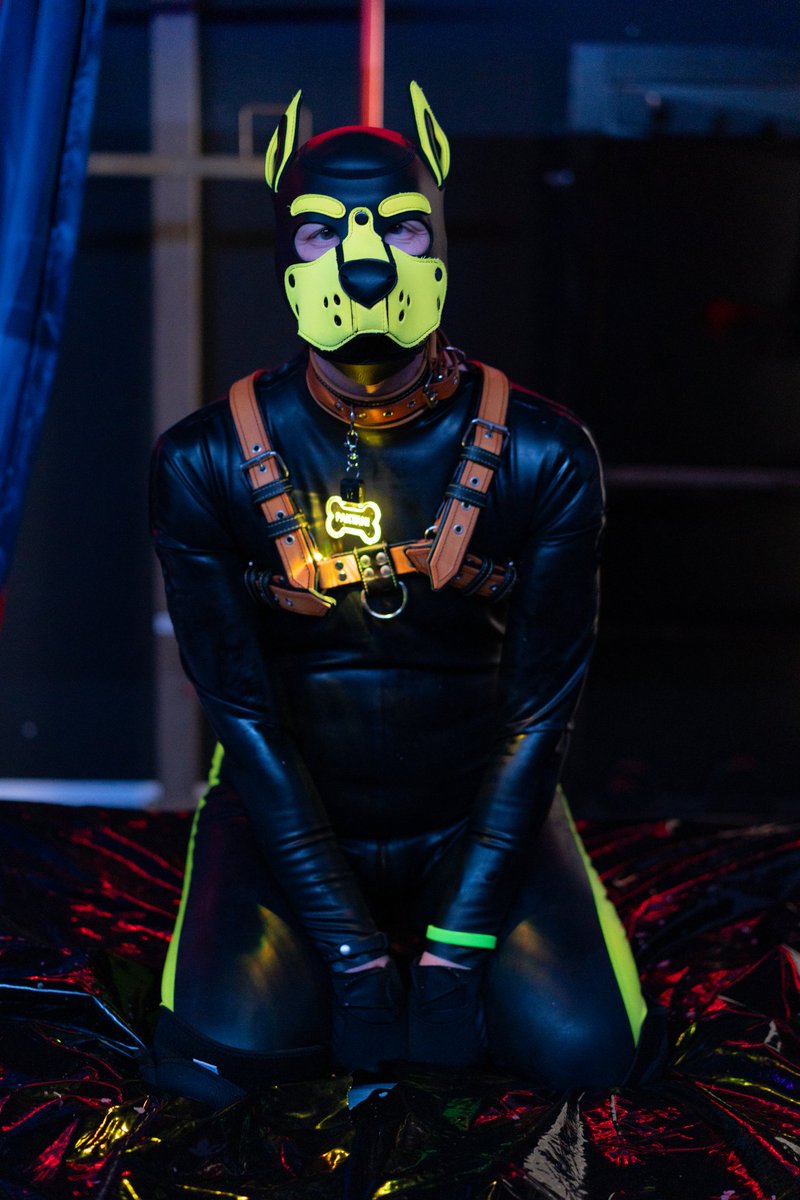 Squeaky Barking Awoo tweet media