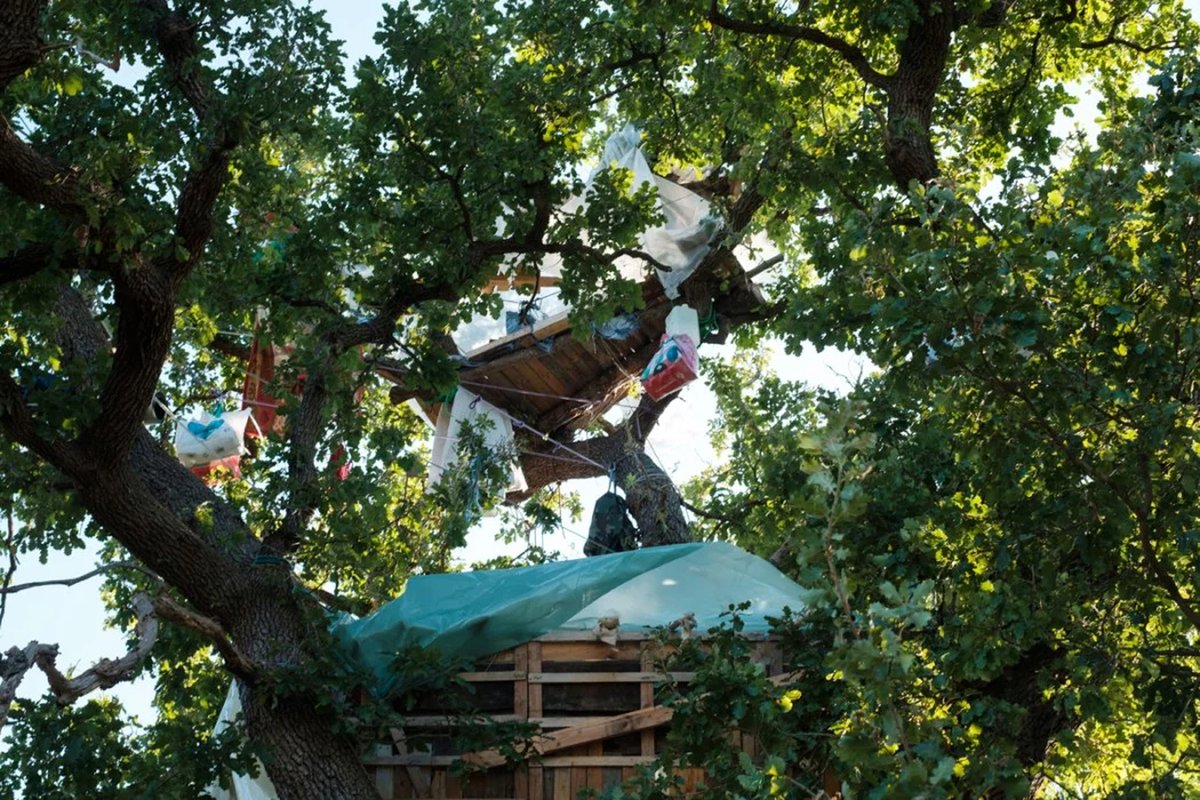 La_Directa's tweet image. #EMERGÈNCIACLIMÀTICA | Nou assalt policial als "esquirols" que bloquegen les obres d’una autopista a Occitània directa.cat/nou-assalt-pol… Un article de Guille Larios amb fotografies de @Reporterre