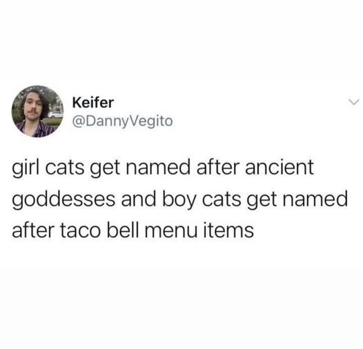"Aphrodite, Crunchwrap Supreme. Dinner!"