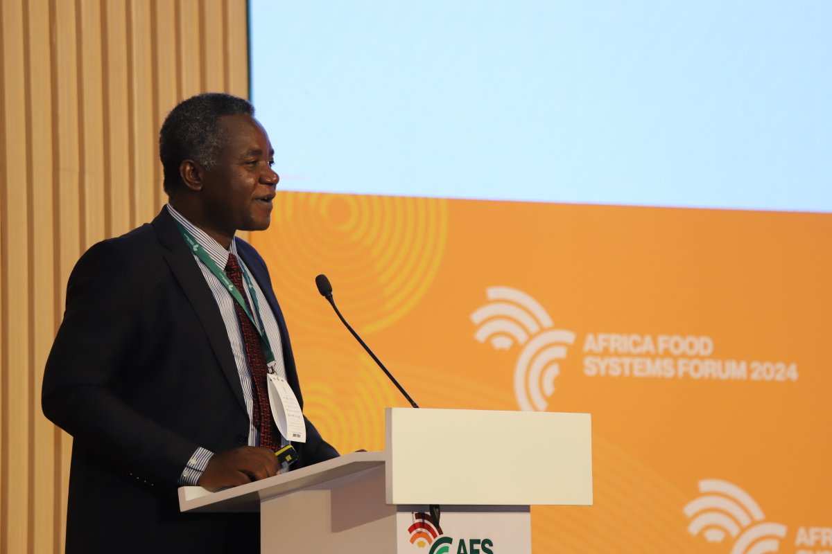 (IITA)CassavaMatters (@cassavamatters) on Twitter photo At the #AFSForum2024 side event, Country Director <a href="/NigeriaSasakawa/">Sasakawa Nigeria</a>, Dr Godwin Atser, identifies the <a href="/NipponZaidan/">日本財団</a> Foundation grants, Kano State Agro-pastoral devt project, <a href="/AGRA_Africa/">AGRA - Sustainably Growing Africa’s Food Systems.</a> projects in Nigeria, <a href="/IITA_CGIAR/">IITA</a> BASICS-II Project, as "key responders to agric challenges" At the #AFSForum2024 side event, Country Director <a href="/NigeriaSasakawa/">Sasakawa Nigeria</a>, Dr Godwin Atser, identifies the <a href="/NipponZaidan/">日本財団</a> Foundation grants, Kano State Agro-pastoral devt project, <a href="/AGRA_Africa/">AGRA - Sustainably Growing Africa’s Food Systems.</a> projects in Nigeria, <a href="/IITA_CGIAR/">IITA</a> BASICS-II Project, as "key responders to agric challenges"