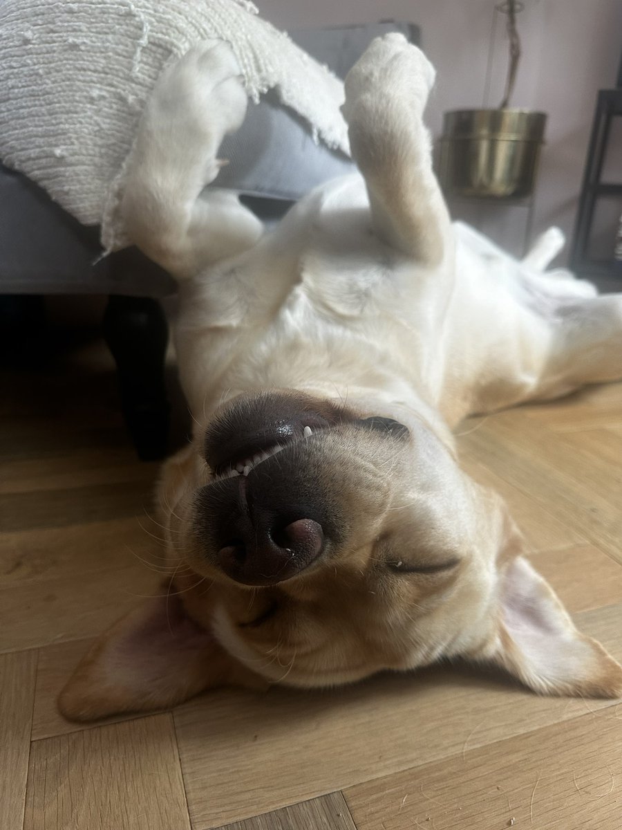 markypops6's tweet image. Lives rent free, sleeps peacefully, still sighs at absolutely nothing.