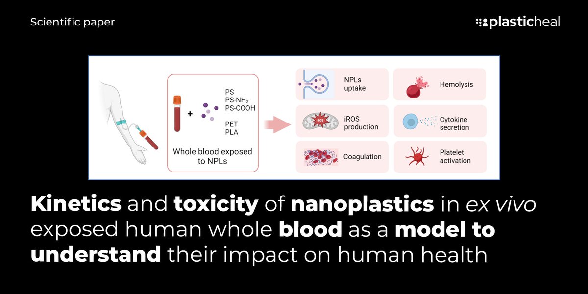 PLASTICHEAL (@plasticheal) on Twitter photo Our partners from <a href="/UABBarcelona/">Universitat Autònoma de Barcelona</a> <a href="/aimplas/">AIMPLAS</a> have completed the 1st comprehensive look at #nanoplastics' effects on human blood.
Key findings:
-Monocytes absorb + #NPLs.
-Lymphocytes show increased oxidative stress.
-Changes in cytokine release & haemolysis.
doi.org/10.1016/j.scit… Our partners from <a href="/UABBarcelona/">Universitat Autònoma de Barcelona</a> <a href="/aimplas/">AIMPLAS</a> have completed the 1st comprehensive look at #nanoplastics' effects on human blood.
Key findings:
-Monocytes absorb + #NPLs.
-Lymphocytes show increased oxidative stress.
-Changes in cytokine release & haemolysis.
doi.org/10.1016/j.scit…