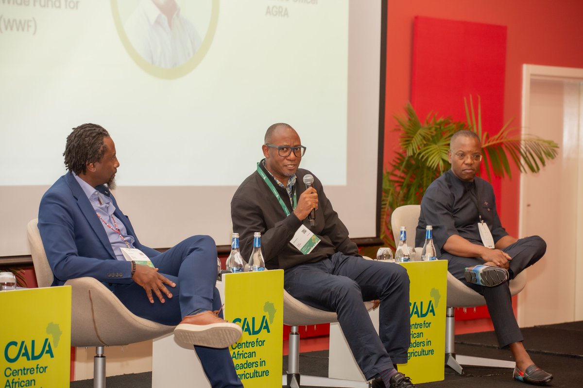 AGRA_Africa's tweet photo. Day 1 | Harnessing Digital Technologies and Sustainable Practices for Resilient Food Systems in the face of climate change 

“Graduates of CALA leadership are champions of Africa food system transformation, the impact of their work on ground is being felt and at AGRA  we can only continue scaling the program to create more leaders as possible from both in public, private, civil society and more importantly youth groups”

@TheAGRF | @Agnes_Kalibata | @Jeanuwine | @africamanager | @assangombe48 | @siekag

#FoodSystems | #AFSForum24 #AGRAImpact