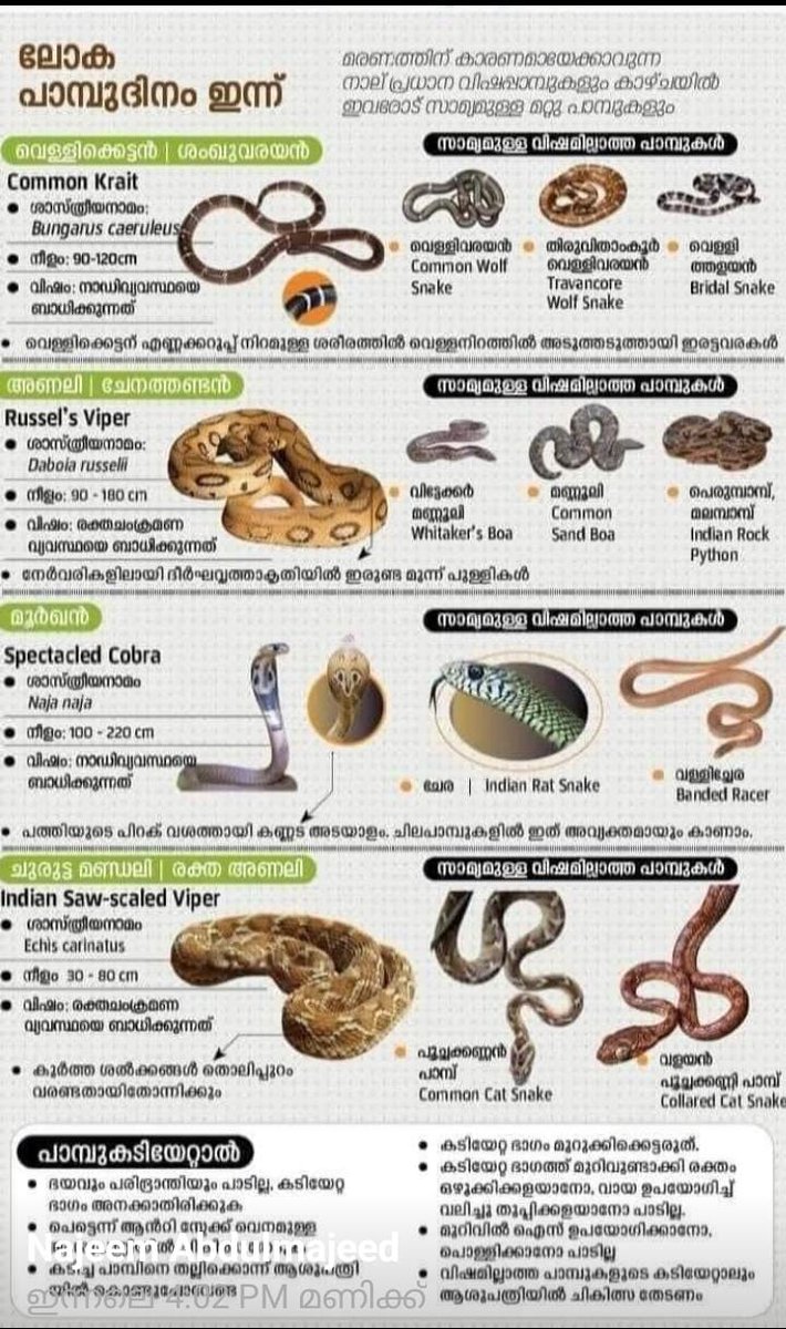 drharoon's tweet photo. World Snake Day
#Aug30 https://t.co/ZtgdgYmTim