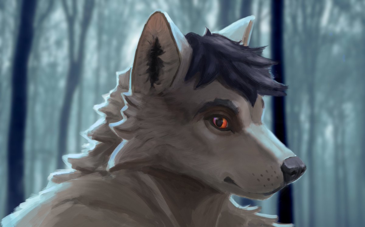 Lost in the woods, you find a friend..(?)