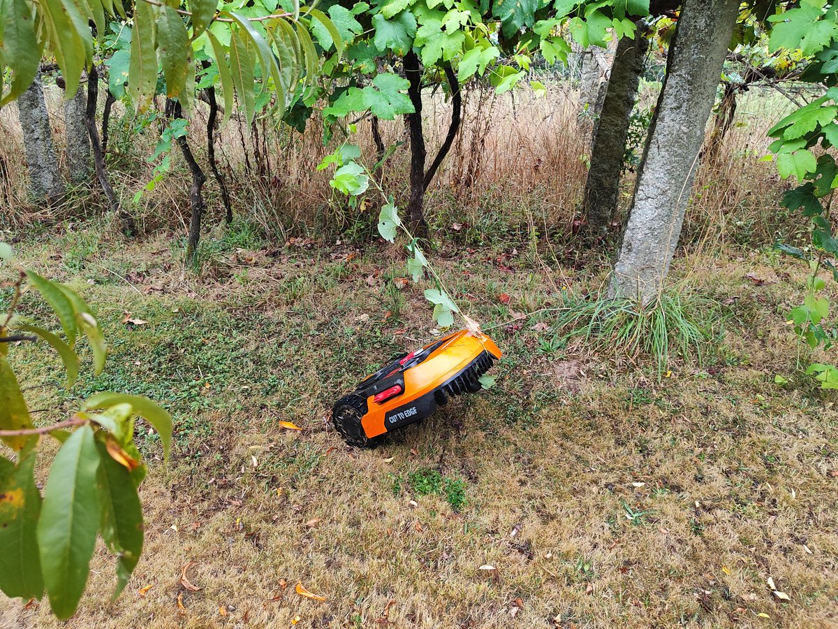 albertoruibal's tweet photo. He is always looking for creative ways to get stuck... #landroid https://t.co/gLJCKcPvAp