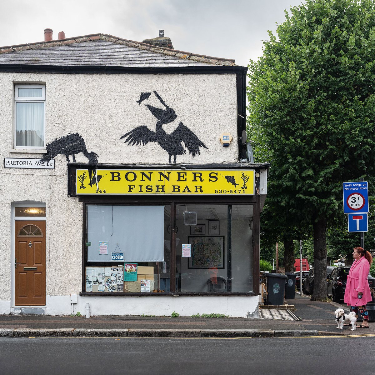 The British ZOO series from #BANKSY - Part 05

Fish are meant to feed animals and not meant as a money making machine for humans. The pelican, amongst a lot of other (sea)birds, depends on fish for their live. If humans keep on fishing the seas empty, keep on fishing our rivers