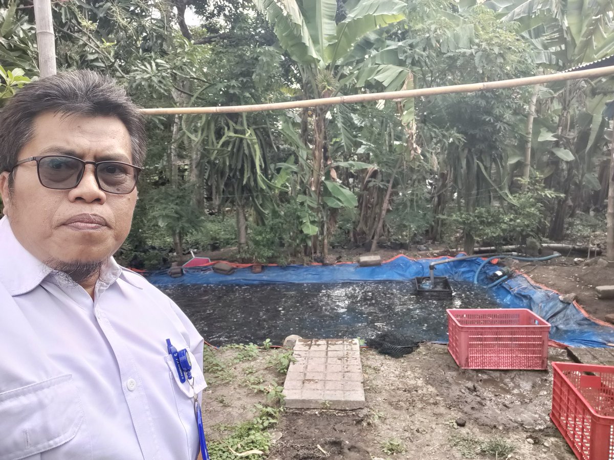 SusantoBambs's tweet photo. Senin,26/8/24. Bambang Dwi S Luhkan Nganjuk dampingi panen ikan lele di Pokdakan Berkah Ikan (P. Mundir) Ds Katerban - Baron, klm trpl sederhana 84m2,  jmlh 460kg, size 8-10ekr/kg, hrg 17000/kg.
#GiatLuhkanSatminkalBWI 
#Nganjuk
#panen
@bppsdm_bp3bwi 
@pusluh_bppsdm 
@bppsdm_kp https://t.co/44kvOaSGaZ